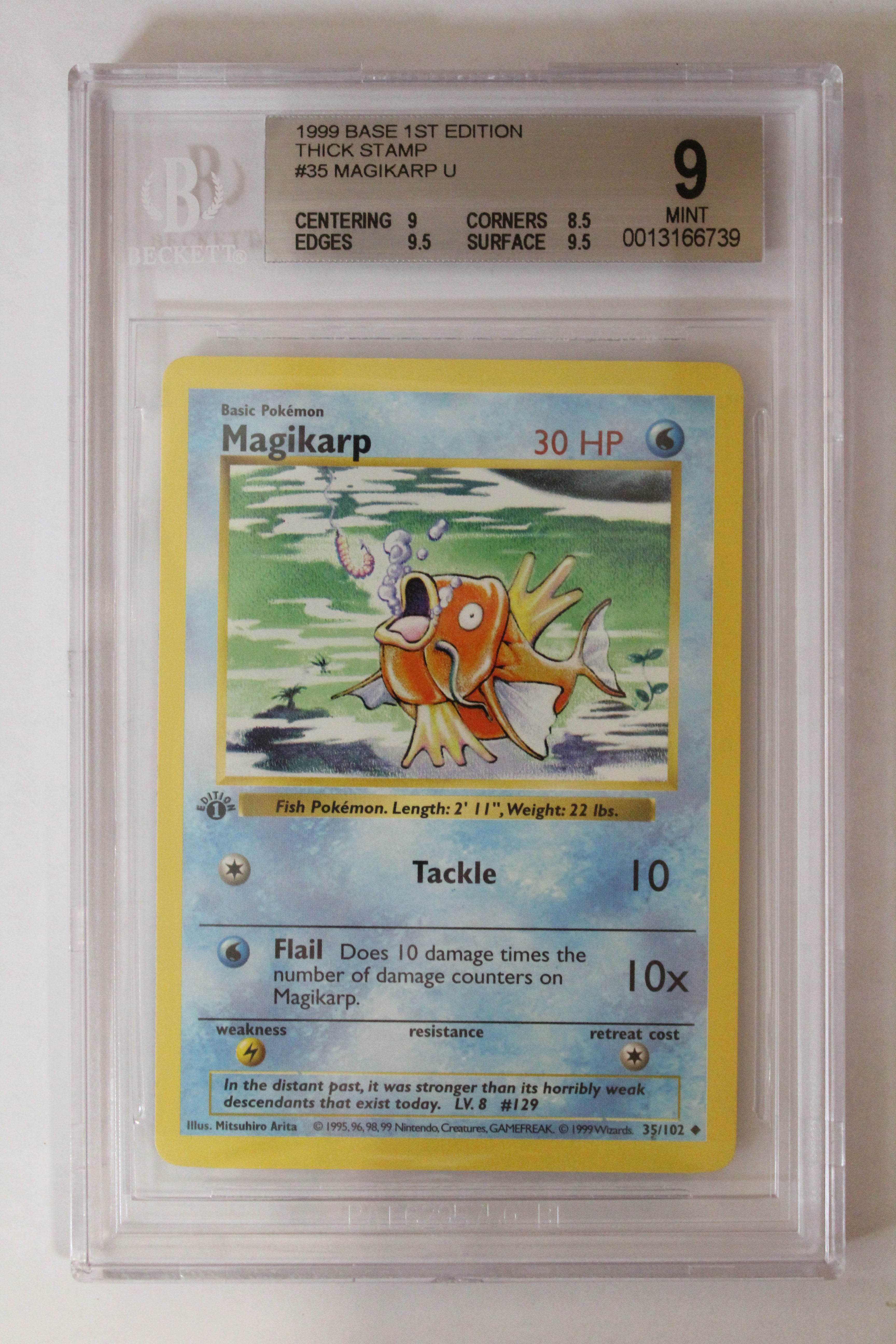 Magikarp9-0013166739.jpg?v=
